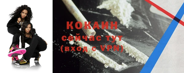 трава Тавда