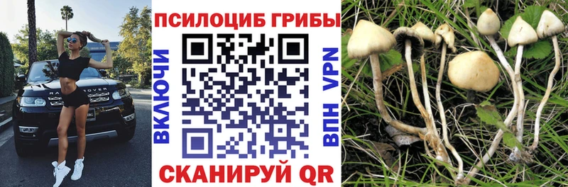 даркнет телеграм  Шарья  Галлюциногенные грибы ЛСД  как найти закладки 